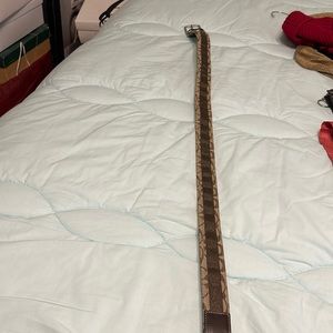 Coach belt